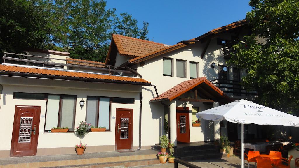 Vila Europa Sărata-Monteoru Exteriér fotografie