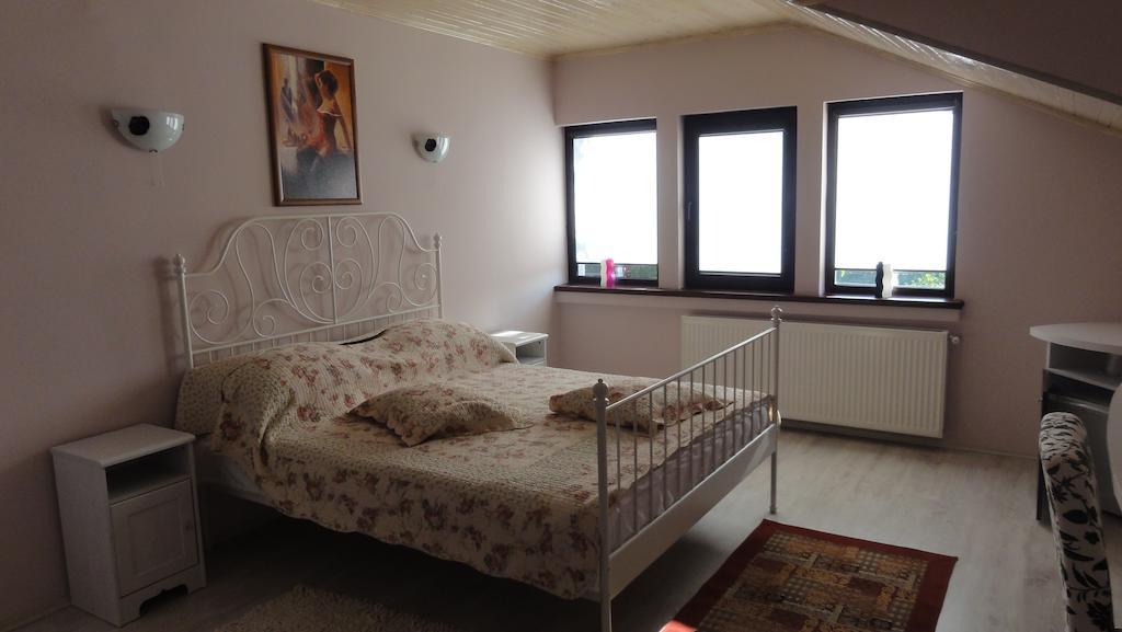 Vila Europa Sărata-Monteoru Pokoj fotografie